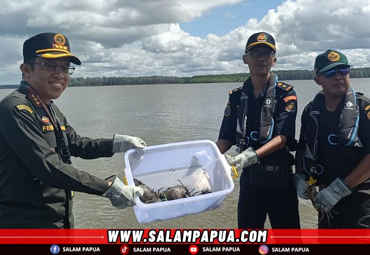 Pejabat Balai Karantina Hewan, Ikan dan Tumbuhan Mimika saat melepas kepiting bakau (salampapua.com/Abeth)