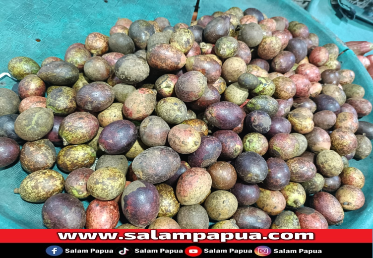 Belum Musim, Harga Buah Matoa Kelapa Tembus Rp 120.000 Perkilogram,