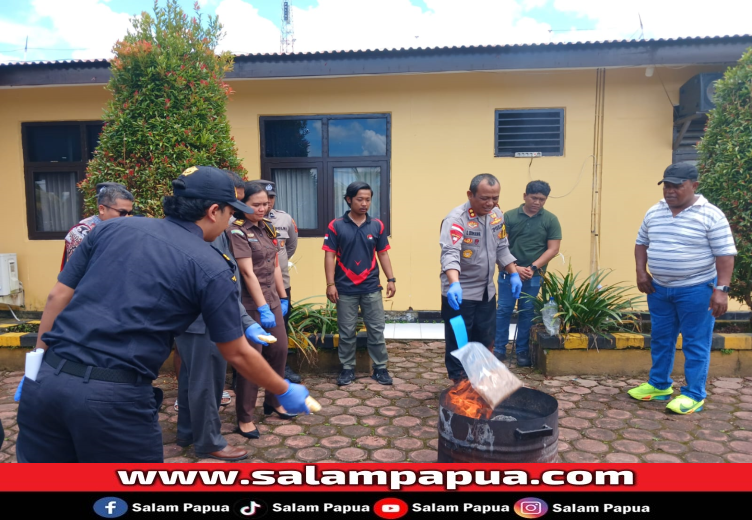 Polres Mimika Musnahkan Ratusan Gram Narkoba Dan Ribuan Butir Dextro