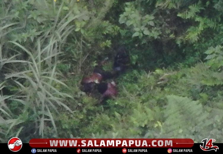 Buronan Kasus Penembakan WNA Di Kuala Kencana Terkena Tembakan Aparat Di Tembagapura