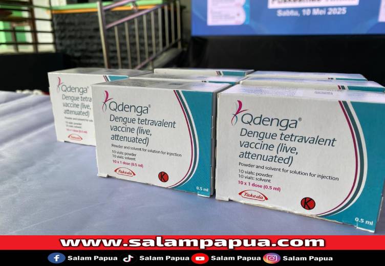 Dinkes Mimika Akan Tawarkan Vaksin Qdenga Di Wilayah Dengan Kasus DBD Tinggi