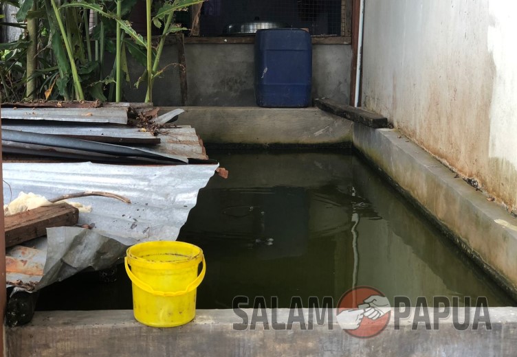 Air Dan Lokasi Jadi Masalah Budidaya Ikan Di Kwamki Narama Mimika