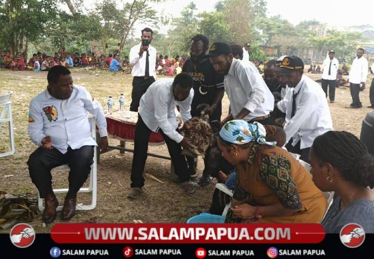 Acara makan bersama hasil bakar batu syukuran Pegawai Negeri Sipil (PNS) Kategori 2 (K2) dan Calon Pegawai Negeri Sipil (CPNS) Formasi 2024 Gabungan Wendanap Kabupaten Nduga, Provinsi Papua Pegunungan di Kenyam, Kamis (8/10/2026)(Salampapua.com/Elea Worom)