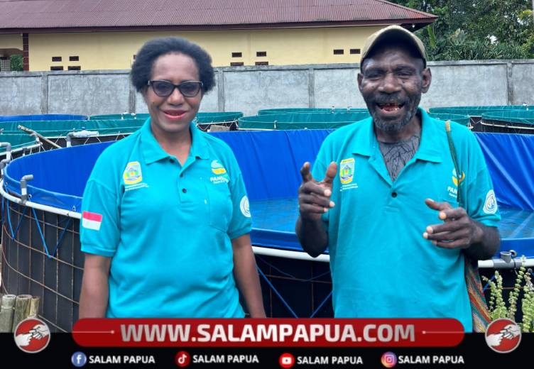 PMI Mimika Bangun 16 Kolam Bioflok, Siap Tebar 25 Ribu Benih Ikan Nila