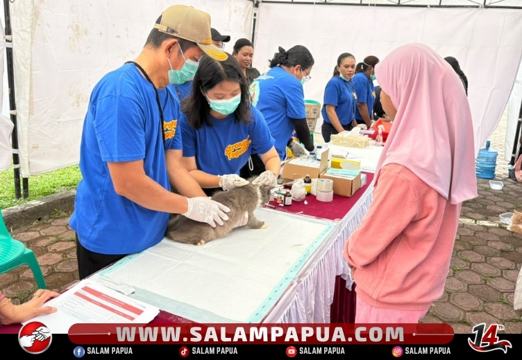 700 Dosis Disiapkan, Disnakkeswan Mimika Gelar Vaksinasi Rabies Gratis Untuk Anjing Dan Kucing