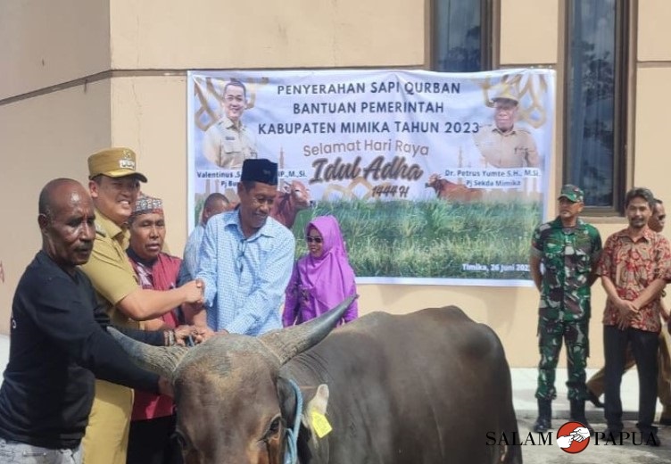 PEMKAB MIMIKA SERAHKAN 32 SAPI KURBAN UNTUK PERAYAAN IDUL ADHA 2023