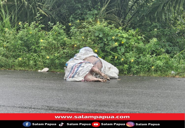 Kapolres Mimika Dan Dewan Menyayangkan Ada Bangkai Babi Dibuang Ke Sungai Dan Di Pinggir Jalan