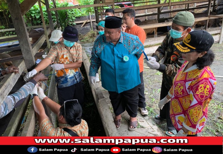 Jelang Idul Adha, Disnak & Keswan Mimika Cek Kesehatan Hewan Kurban