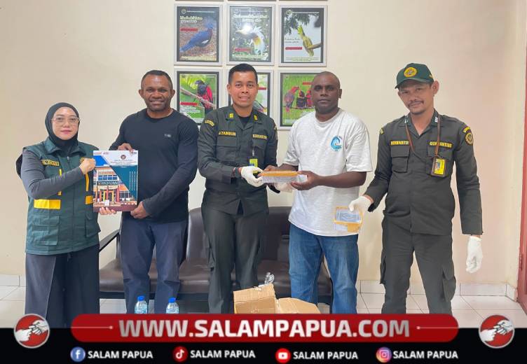 Karantina Papua Tengah Gagalkan Pengiriman Tiga Ular Death Adder Tanpa Dokumen