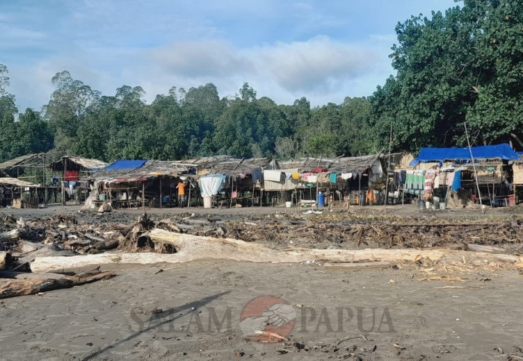 TIDAK PUNYA RUMAH, PULUHAN KK DI MANASARI MIMIKA TIMUR JAUH BANGUN TENDA DARURAT UNTUK TEMPAT TINGGAL