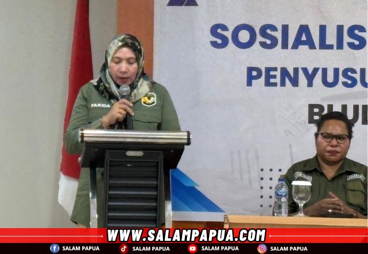 Kepala Seksi Pembiayaan Dinkes Mimika, Farida, saat membacakan laporan (salampapua.com/Evita)